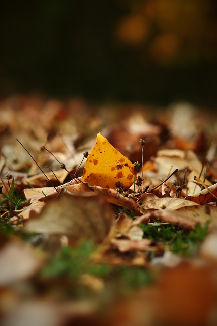 在国际赛场 在国际赛场