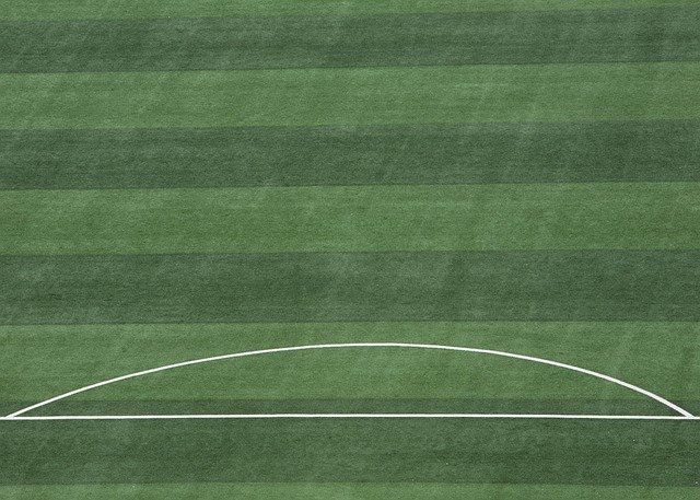 显示了他强 显示了他强