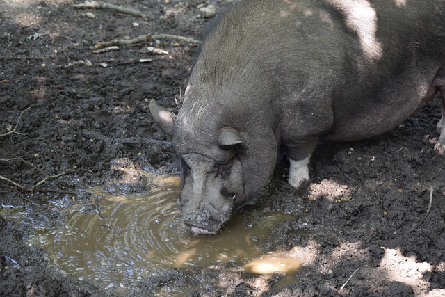 仅重新点燃 仅重新点燃