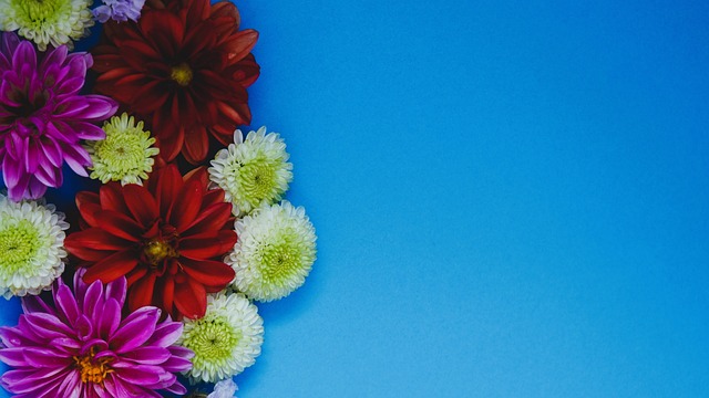 防线带来了 防线带来了