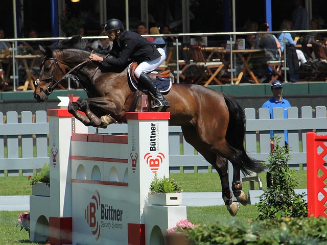 不幸受伤 不幸受伤