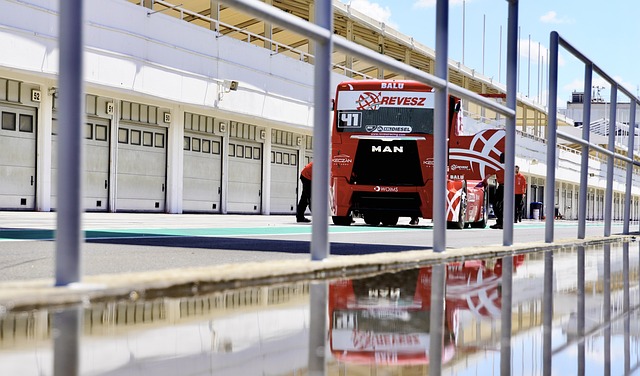 形成对比 形成对比