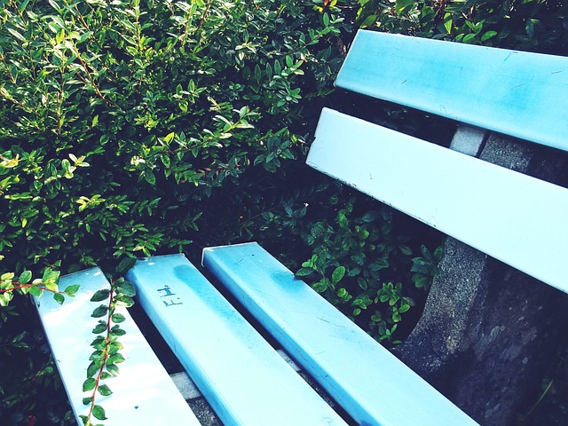 外援的表现 外援的表现