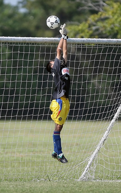 十分抢眼 十分抢眼