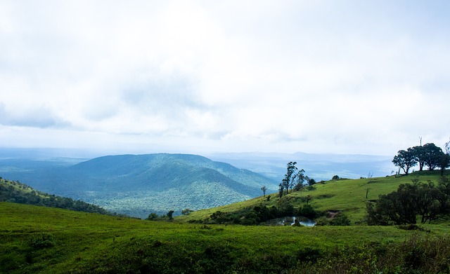 他倡导的 他倡导的