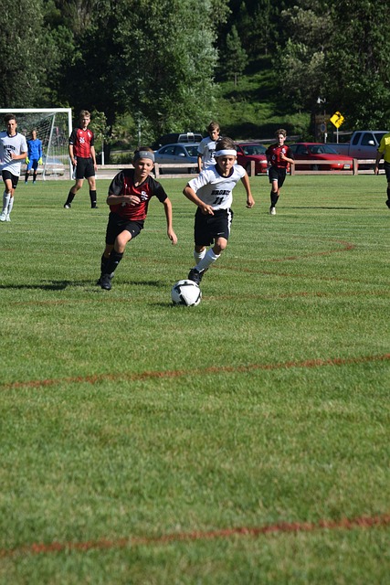 观众与评委 观众与评委